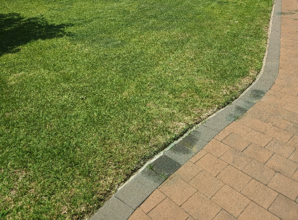 Gardening Tips for Northern Territory (NT) Gardens by iScape Garden Experts